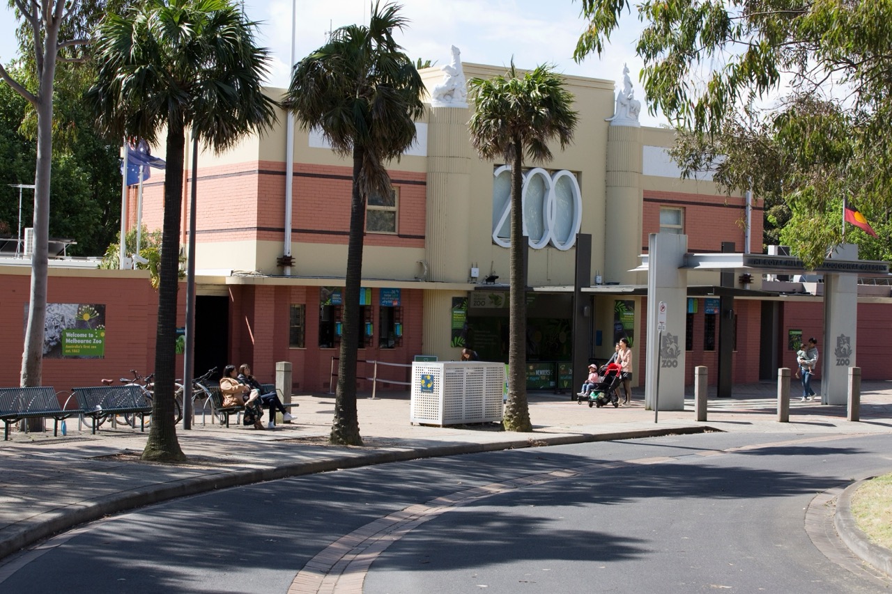 Best Zoos To Visit in Victoria Dollar Car Rental Australia